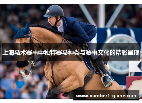 上海马术赛事中独特赛马种类与赛事文化的精彩呈现