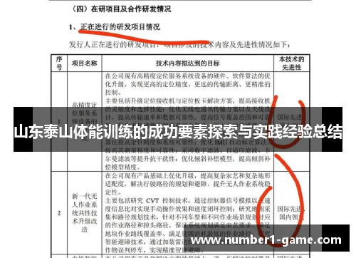 山东泰山体能训练的成功要素探索与实践经验总结