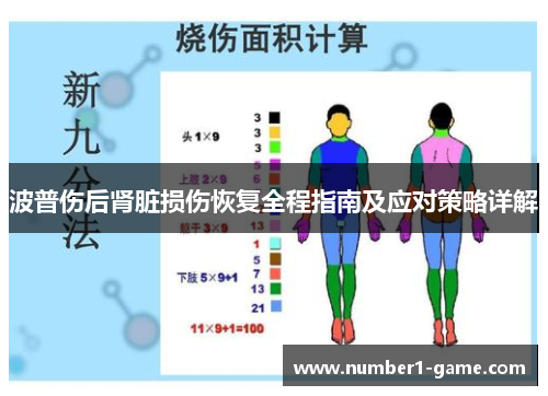 波普伤后肾脏损伤恢复全程指南及应对策略详解