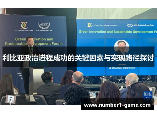 利比亚政治进程成功的关键因素与实现路径探讨