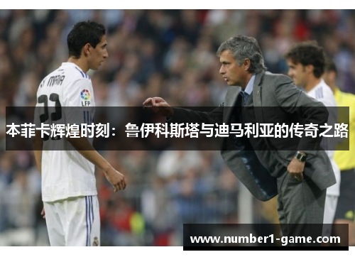 本菲卡辉煌时刻：鲁伊科斯塔与迪马利亚的传奇之路