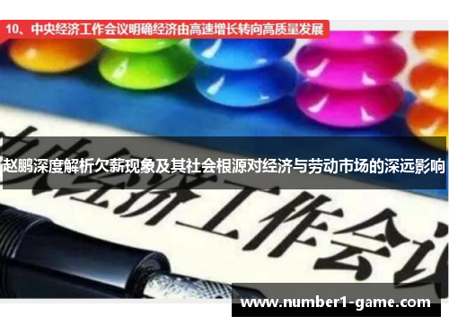 赵鹏深度解析欠薪现象及其社会根源对经济与劳动市场的深远影响